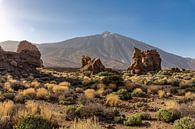 Teide von Dennis Eckert Miniaturansicht