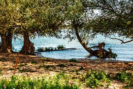 Tongplaat Strand - Dordtse Biesbosch von Lizanne van Spanje