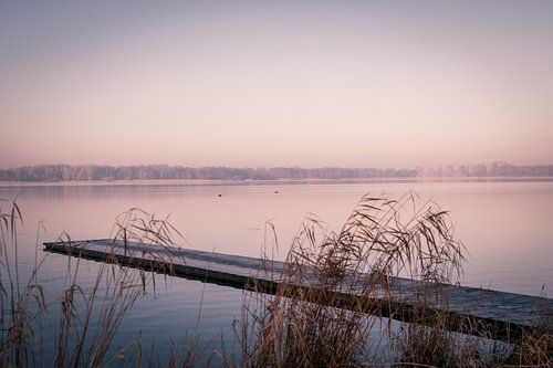 A jetty behind the reeds