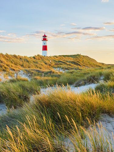 Sylt V