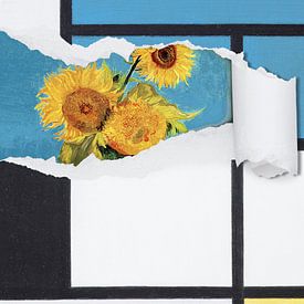 Van Gogh Revealed van Marja van den Hurk