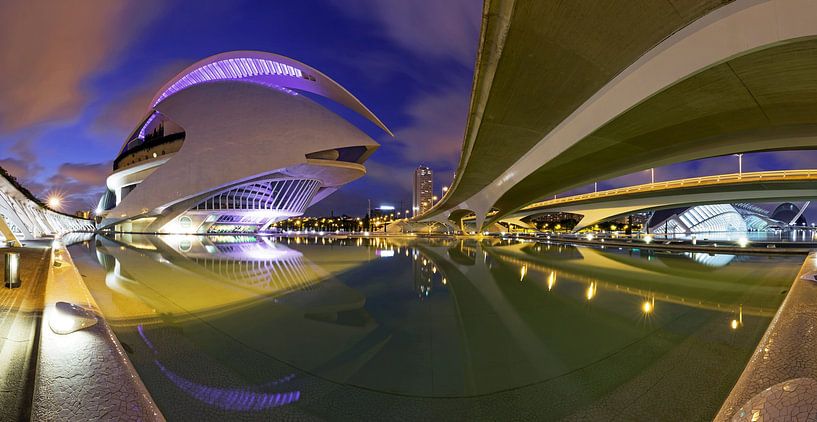 Valencia - Ciudad de las Artes y las Ciencias van Frank Herrmann