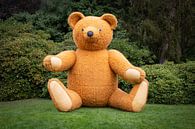 Big Teddy Bear II by Klaartje Majoor thumbnail