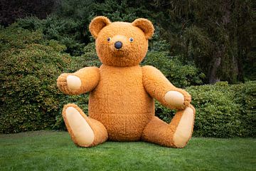 Großer Teddybär II