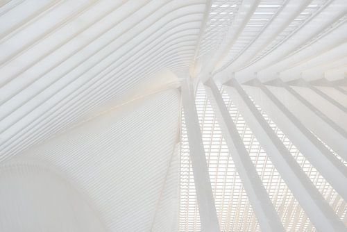 Mikado - Architectural Highlights in Lüttich Guillemins