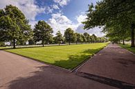 Margraten Military Cemetery by Rob Boon thumbnail