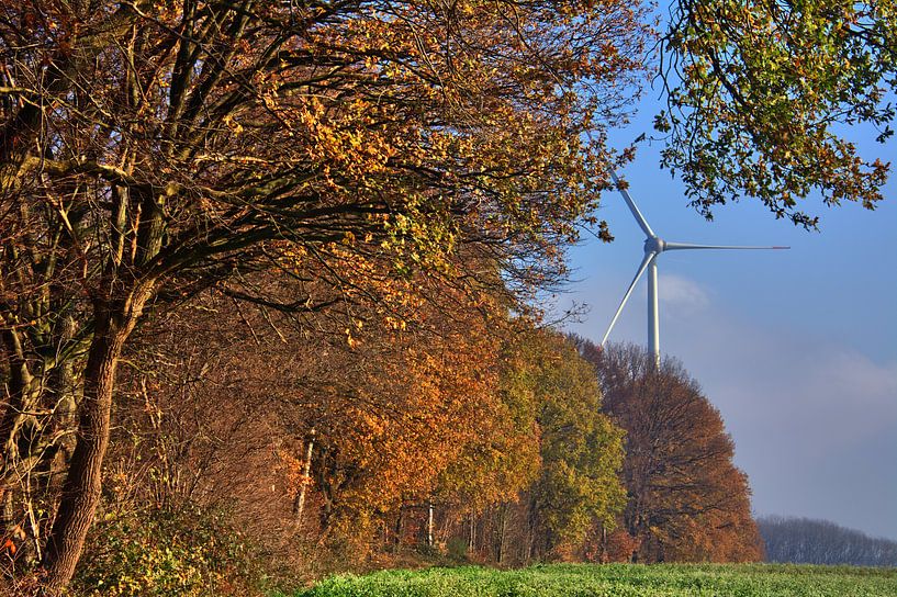Haar grenspad 4 van Edgar Schermaul