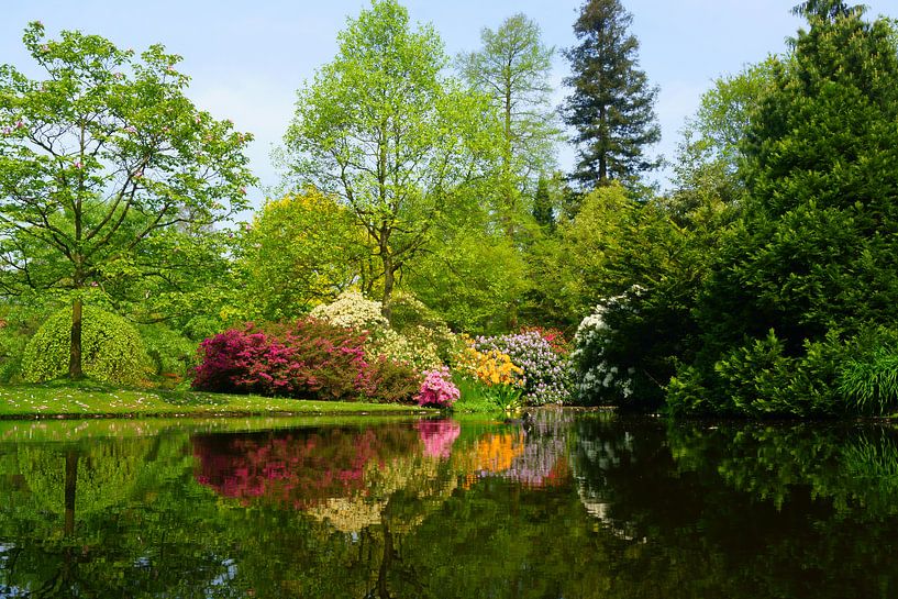 Arboretum Trompenburg van Michel van Kooten