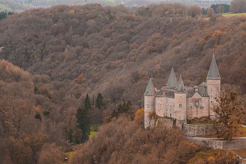 Parel in het bos van Andras Veres