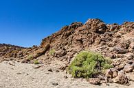 Landschaft auf der Kanarischen Insel Teneriffa van Rico Ködder thumbnail