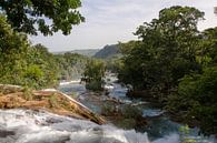 Agua Azul Waterfalls, Mexico van Olivier Van Acker thumbnail