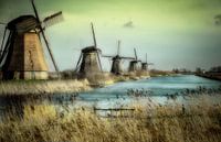 Molens Kinderdijk ... van Ton de Jong thumbnail