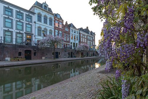 Lente aan de Oudegracht tijdens zonsondergang, Utrecht.