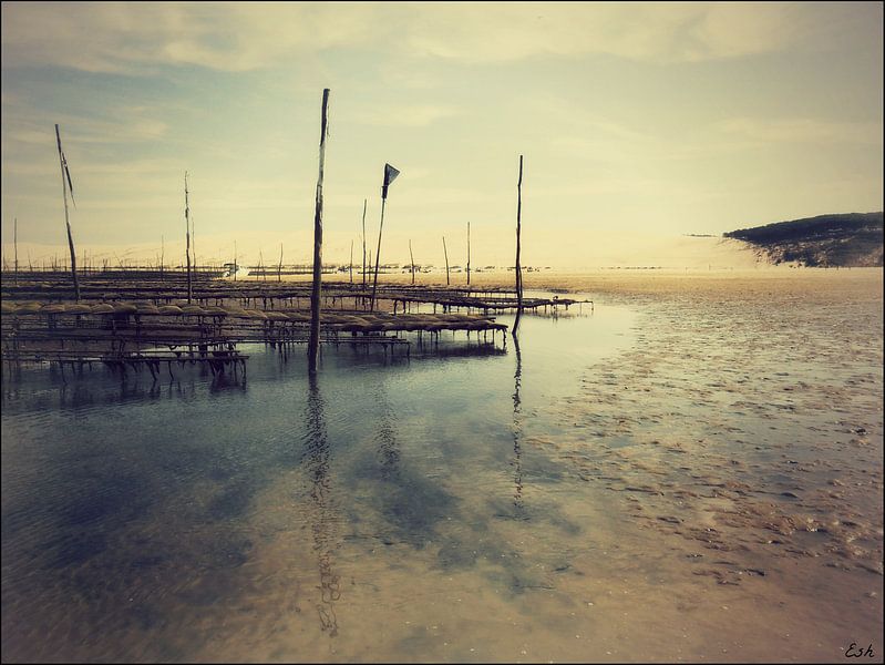 Banc d'Arguin. von Esh Photography