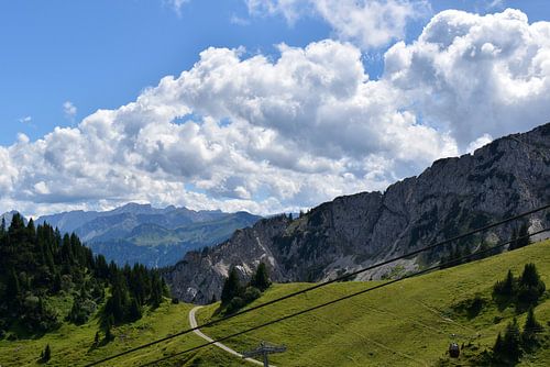 liksteen van de Hahnenkamm / Tirol / Oostenrijk