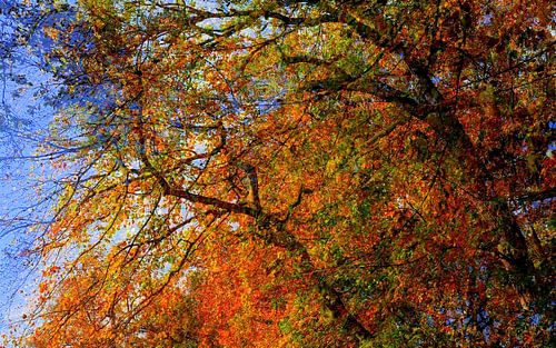 Goodbye summer, hello autumn