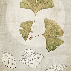 Ginkgo. Japandi. Wabi-Sabi. sur Alie Ekkelenkamp
