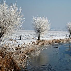 Winter von Loes Jansen