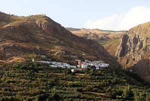 Timar Alpujarras