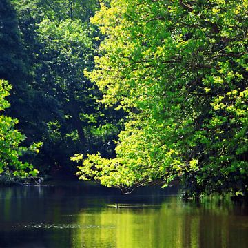 BERLIN Tiergarten - magical forest by Bernd Hoyen