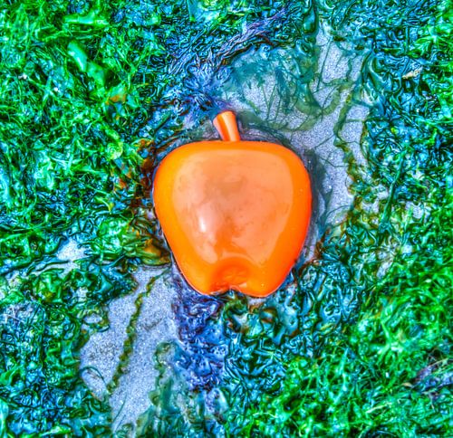 Apple on the Beach - Zeewier