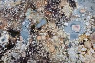 Honderden bruine, grijze, witte stenen | IJsland van Photolovers reisfotografie thumbnail
