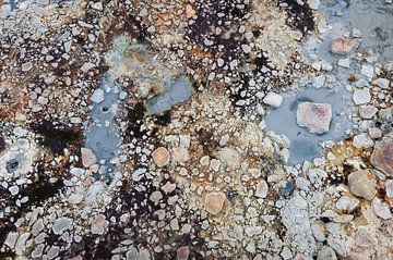 Hunderte von braunen, grauen, weißen Steinen | Island