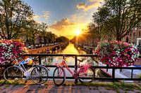 Amsterdam zonnige brug