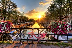 Amsterdam sunny bridge