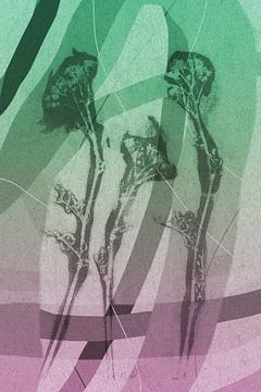 Bloemen in beige. Moderne abstracte botanische geometrische kunst in roze en groen van Dina Dankers