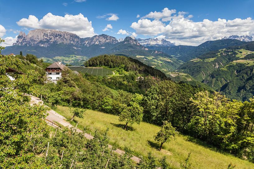 Landschap op de Ritten bij Klobenstein, Zuid-Tirol van Christian Müringer