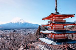 La beauté du Japon sur Manjik Pictures