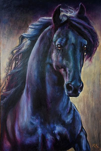 Zwart Paard stallion van KB Prints