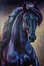 Zwart Paard stallion van KB Prints thumbnail