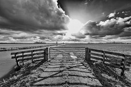 The sun-drenched arable land behind the fence. by Tony Buijse