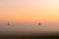 Molens in de polder met zonsopkomst