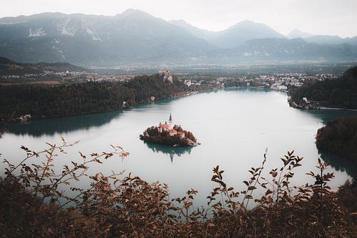 Stilte boven Lake Bled | Slovenië | Reisfotografie