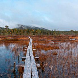 Flood by marshland by Axel Weidner