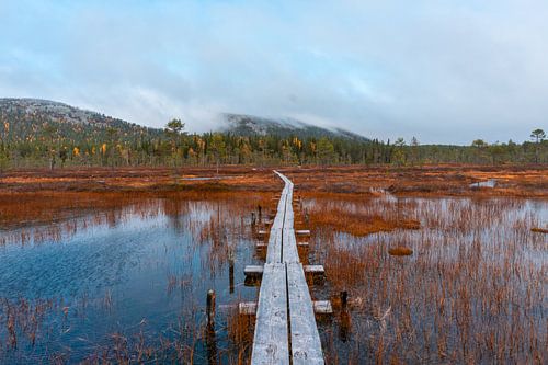 Inondation par les marais sur Axel Weidner