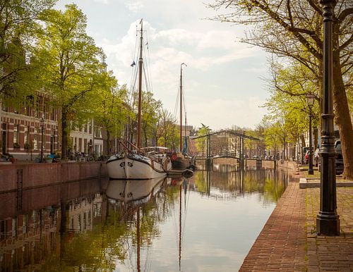 Ochtendlicht in de Lange Haven in Schiedam