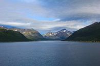 Fjord Noorwegen von Mirjam de Jonge Miniaturansicht