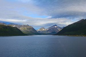 Fjord Noorwegen van Mirjam de Jonge