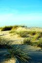 shadow plays by Ostsee Bilder thumbnail