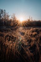 Zonsopkomst