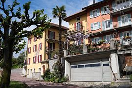  Farbenfrohes Lebensgefühl in Minusio  von Pokemanicx