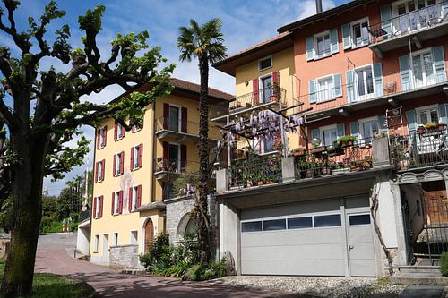  Farbenfrohes Lebensgefühl in Minusio 