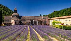 Abbaye Notre-Dame de Sénanque Frankreich
