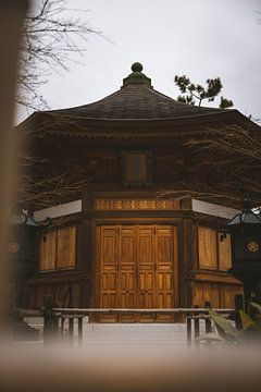 De Spirituele Tempels van Tokyo: Vensters op de Japanse Ziele van Ken Tempelers