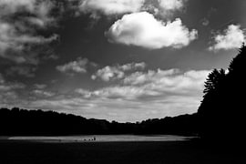 Amsterdamer Wald von Hugo Westendorp
