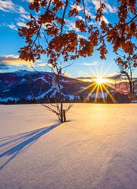 Winterlicher Sonnenuntergang